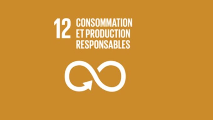 Capture d’écran 2 .jpg